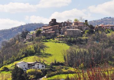 Étude préalable à la création d'un site patrimonial remarquable à Ternand (Rhône)