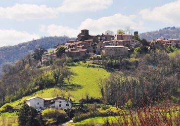 Étude préalable à la création d'un site patrimonial remarquable à Ternand (Rhône)