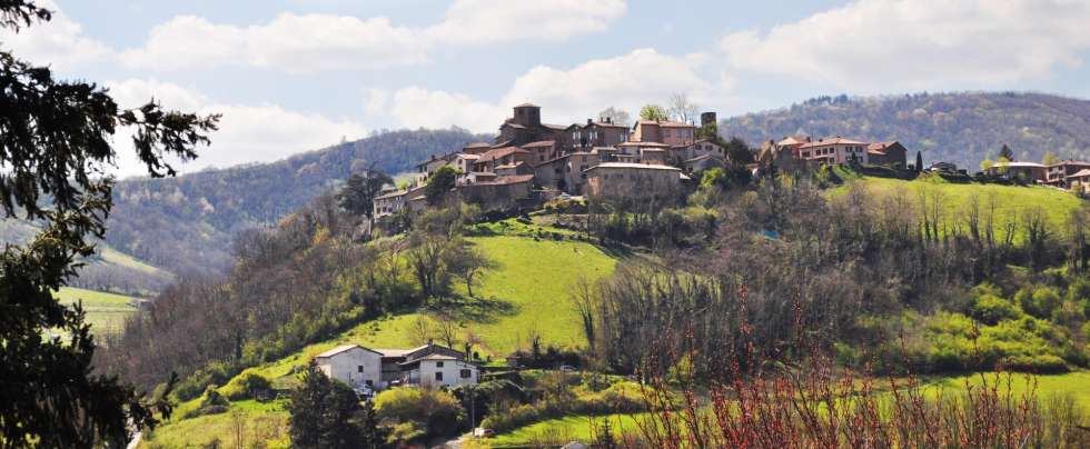 Étude préalable à la création d'un site patrimonial remarquable à Ternand (Rhône)