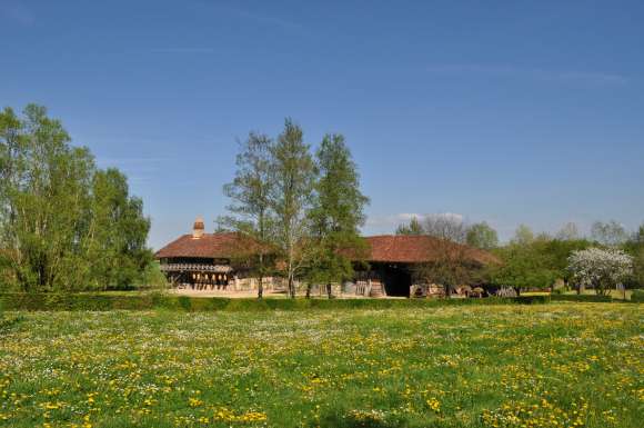 Étude patrimoniale de la ferme de la Forêt (Ain)